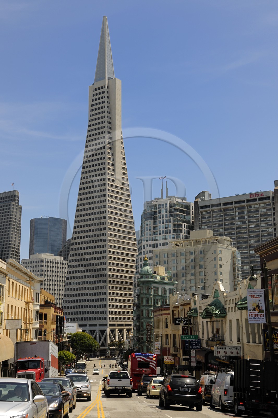 Etats-Unis, Californie, San Francisco, financial district, Transamerica Pyramid Building par l'architecte William Leonard Pereira