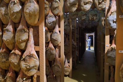 France, Pyrenees Atlantiques, Basque Country, Aldudes valley, the Aldudes collective dryer ensures the drying and the ripening of hams, ripening area