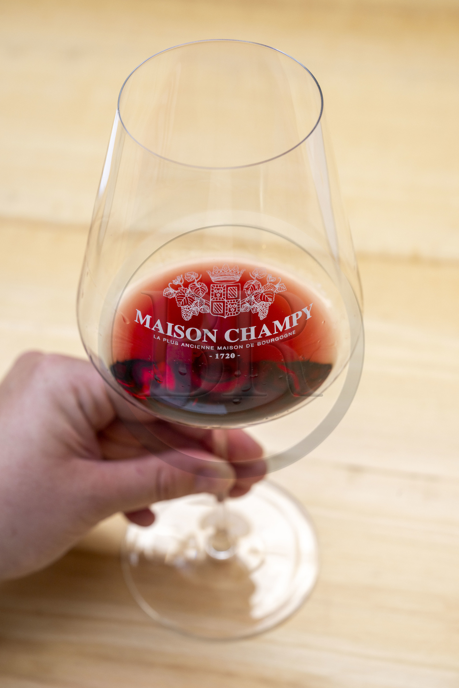 France, Côte-d'Or (21), les climats de Bourgogne classés Patrimoine Mondial de l'UNESCO, Beaune, Maison Champy, plus ancienne maison de négoce de vins de Bourgogne fondée en 1720, dégustation de grands et premiers crus en Pernand-Vergelesses  et Corton-Charlemagne sous la verrière