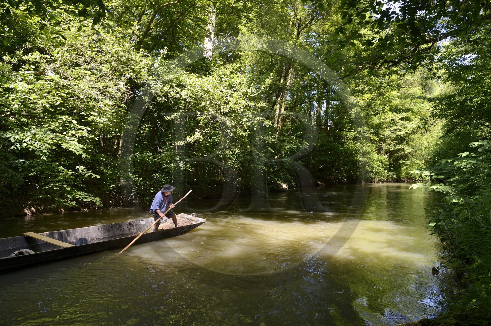 France, Bas-Rhin (67), région d'Ebersmunster et Muttersholtz, le Grand Ried, le batelier Patrick Unterstock dans une barque à fond plat en bois sur la rivière l'Ill