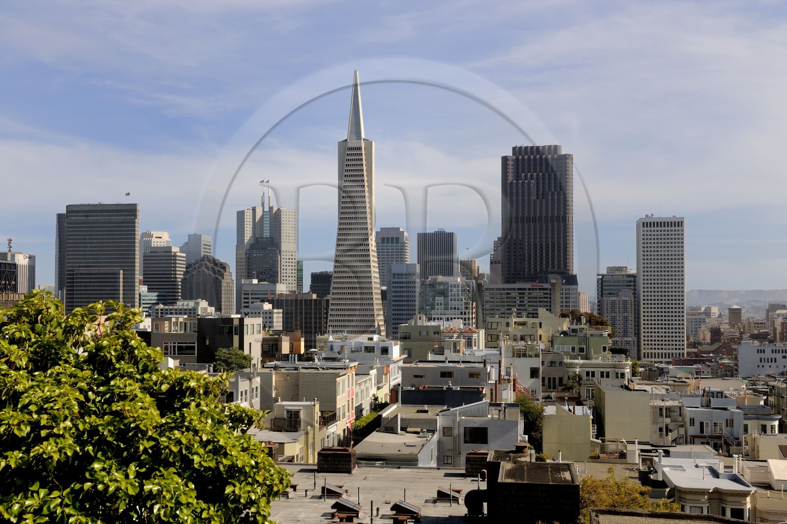 Etats-Unis, Californie, San Francisco, financial district, Transamerica Pyramid Building par l'architecte William Leonard Pereira