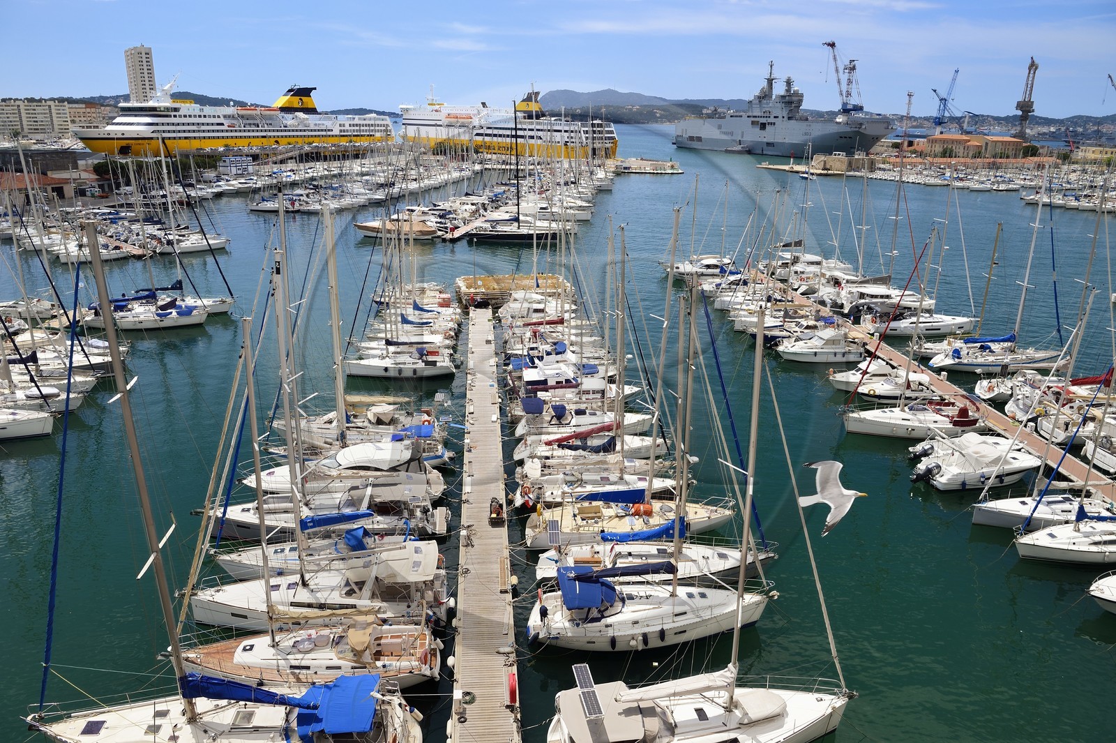 France, Var (83), Toulon, le quai Cronstadt ouvre sur le port civil, en arrière plan à gauche le port marchand et les ferries pour la Corse, en arrière plan à droite la base navale et le Mistral (L9013) porte-hélicoptères amphibie de la Marine nationale française France, Var (83), Toulon, le quai Cronstadt ouvre sur le port civil, en arrière plan à gauche le port marchand et les ferries pour la Corse, en arrière plan à droite la base navale et le Mistral (L9013) porte-hélicoptères amphibie de la Marine nationale française