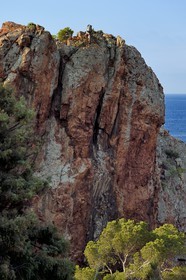 France, Var, Agay area next to Saint-Raphael, Massif de l'Esterel (Esterel Massif), the Corniche d'Or, climbing on a rock of the Dramont cape
