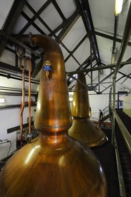Royaume-Uni, Ecosse, Hébrides intérieures, Ile de Islay, Port Ellen, distillerie de whisky ArdbegPark, distillation du wash dans des alambics en cuivre Pot-stills