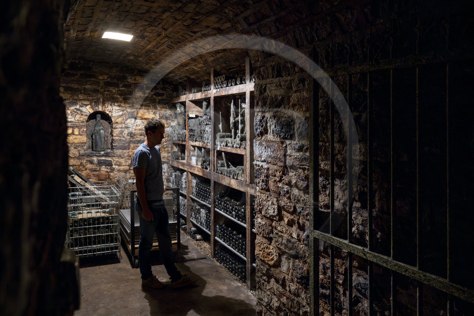 France, Côte-d'Or (21), Paysage culturel des climats de Bourgogne classés Patrimoine Mondial de l'UNESCO, Route des Grands Crus, vignoble de la Côte de Nuits, Gevrey-Chambertin, Domaine Dugat, Bertrand Dugat dans sa cave à vin