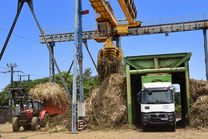 France, Reunion island (French overseas department), Saint-Joseph, one of the 11 sugar cane reception and collection centers also called Balance, the tractors bring the cane from the fields in trailers, it is then weighed and loaded in large trucks called cachalots to be transported to the sugar factory Gol