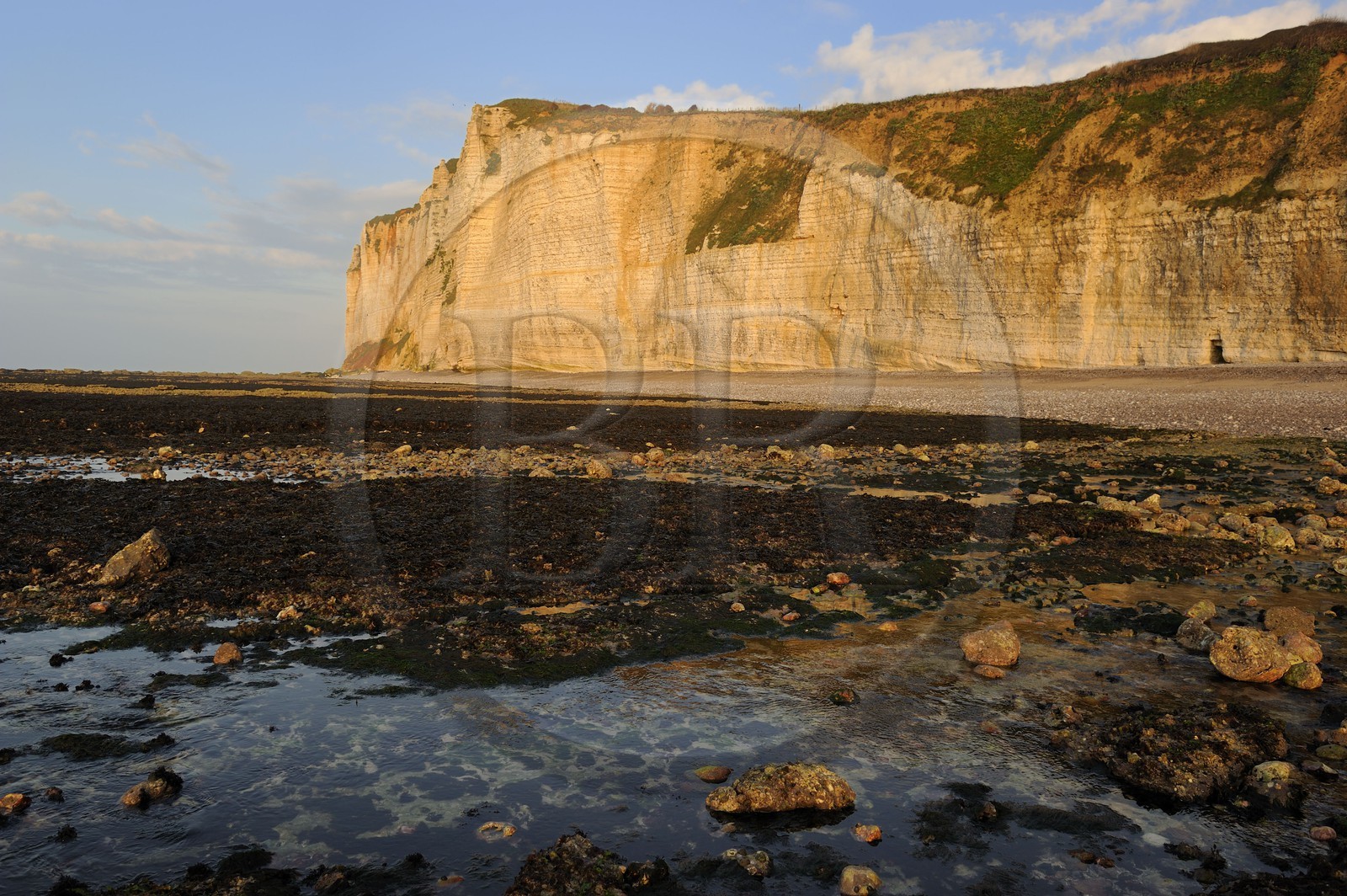 France, Seine-Maritime (76), Côte d'Albâtre, Vattetot-sur-Mer, les falaises et la plage à marée basse
