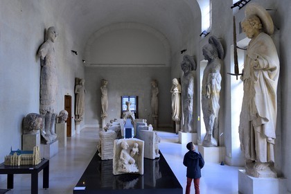 France, Marne, Reims, Palais du Tau, listed as World Heritage by UNESCO, Goliath hall