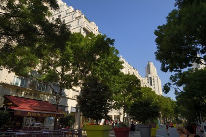 France, Rhone, Villeurbanne, architectural ensemble of the gratte-ciel (skyscrapers) built from 1927 to 1934, the avenue Henri Barbusse