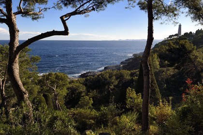France, Alpes Maritimes, Saint Jean Cap Ferrat, the lighthouse of Cap Ferrat from the gardens seen from the Grand-Hotel du Cap Ferrat gardens, a 5 star palace from Four Seasons Hotel