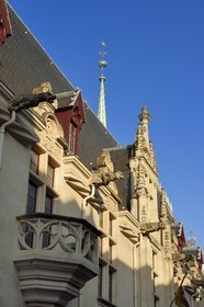France, Meurthe-et-Moselle, Nancy, gargoyles of the Palais Ducal (the Duke of Lorraine's Palace) that houses the Historical Museum of Lorraine