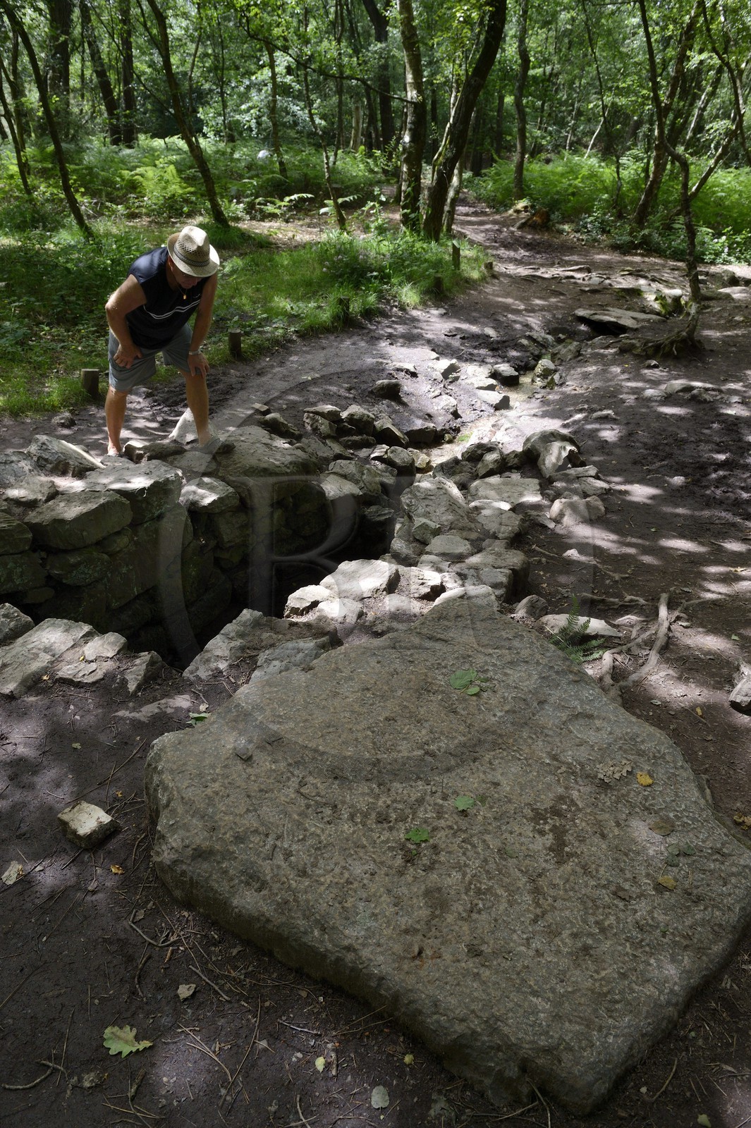 France, Ille-et-Vilaine (35), forêt de Brocéliande, la fontaine de Barenton