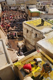 Morocco, Middle Atlas, Fez, Imperial City, Fez El Bali, medina listed as World Heritage by UNESCO, Chouara, tanners of the tannery district