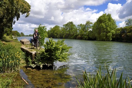France, Charente-Maritime, Saintonge, Port-d'Envaux, cyclist traveling along the Flow Vélo cycle route along the Charente river