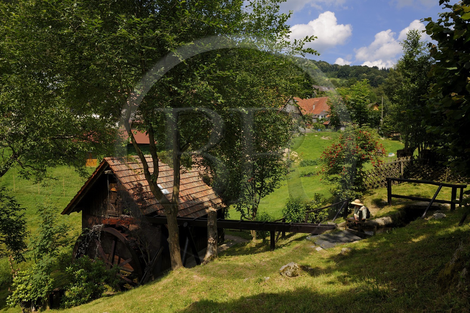 Allemagne, Forêt Noire, Schwartzwald, Bade-Würtemberg, région d'Ottenhöffen, moulin de la Benz-Mühle
