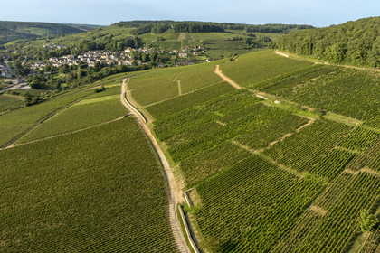 France, Côte-d'Or (21), les climats de Bourgogne classés Patrimoine Mondial de l'UNESCO, Route des Grands Crus, vignoble de la Côte de Beaune, Aloxe-Corton, vignoble de l'appellation Grand Cru Corton Charlemagne sur la colline de Corton, le village de Pernand-Vergelesses en arrière plan (vue aérienne)