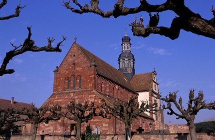 France, Bas Rhin, Saint Cyriaque church in Altorf village