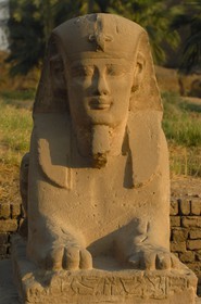 Egypte, Haute Egypte, vallée du Nil, temple de Louxor classé Patrimoine Mondial de l'UNESCO, le Dromos