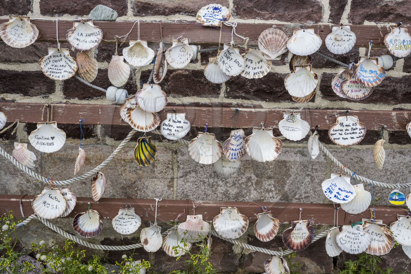 France, Côtes d'Armor (22), Grand Site de France Cap d'Erquy – Cap Fréhel, Erquy, l'Ilot Saint-Michel, la chapelle Saint-Michel, ex voto sur des coquilles de Saint-Jacques