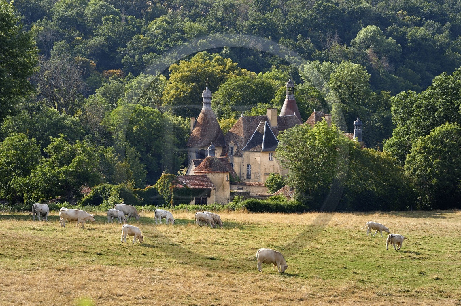 France, Allier (03), ancienne province du Bourbonnais, Besson, chateau du Vieux Bostz appartenant aux descendants des Bourbon-Parme