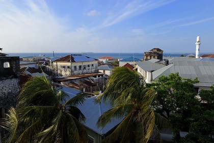 Tanzanie, archipel de Zanzibar, île de Unguja (Zanzibar), ville de Zanzibar, quartier Stone Town, classé Patrimoine Mondial de l' UNESCO, les toits du quartier de Baghani