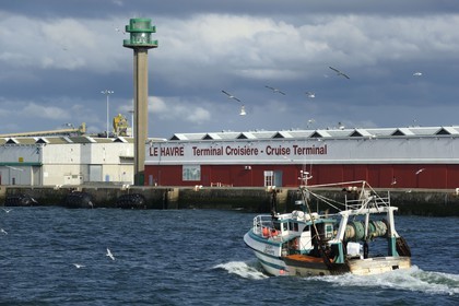 France, Seine Maritime, Le Havre, fishing boat returning to port followed by a flock of seagulls