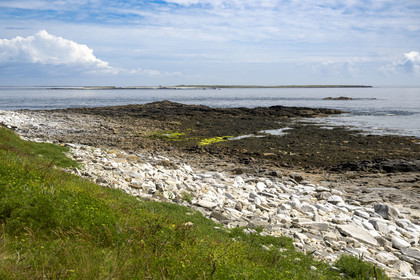 France, Finistère, Iroise Sea, Molene Island, archaeological site of Beg ar Loued housing the remains of a house built 2000 BC