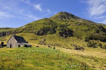France, Cantal, France, Cantal, monts du Cantal, Parc Naturel Régional des Volcans d'Auvergne (regional nature park of Auvergne volcanoes), buron d' Eylac and Puy-Mary mount (1783m)