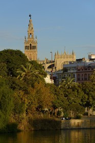 Spain, Andalusia, Seville, Guadalquivir river Banks, the Giralda