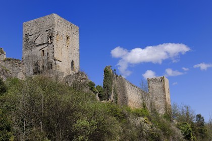 France, Aude, Chateau de Puivert, 12th century Cathar castle..