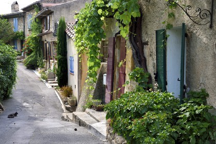 France, Vaucluse, Parc Naturel Regional du Luberon (Natural Regional Park of Luberon), Cucuron, labelled Les Plus Beaux Villages de France (The Most Beautiful Villages of France), an alley of the old town