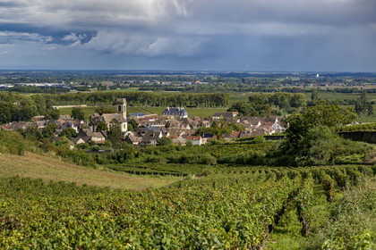 France, Côte-d'Or (21), les climats de Bourgogne classés Patrimoine Mondial de l'UNESCO, Route des Grands Crus, vignoble de la Côte de Beaune, le village de Pommard entouré de vignes