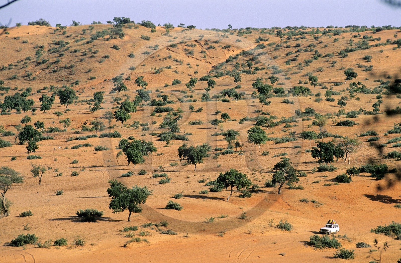 Mali, pays Dogon, Nombori, la plaine sablonneuse au pied de la falaise de Bandiagara, classé Patrimoine Mondial de l'UNESCO