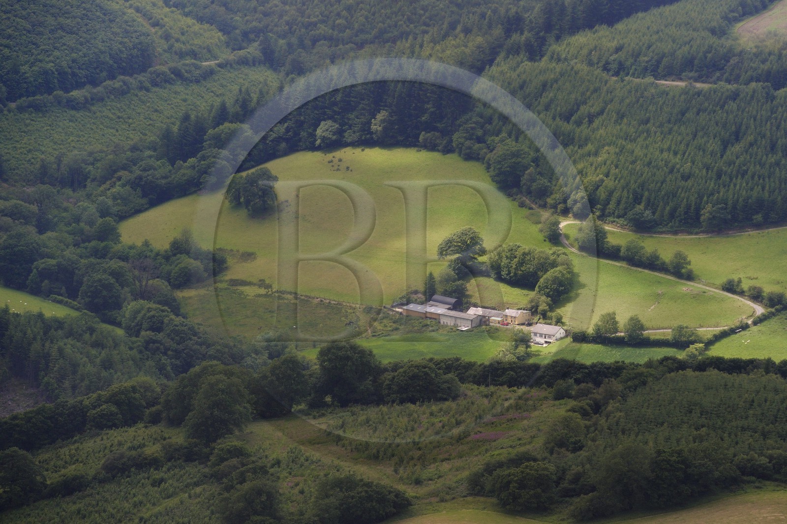 Royaume-Uni, Angleterre, Pays de Galles, forêt et champs dans la region de Brechfa dans le Carmarthenshire (vue aérienne) Royaume-Uni, Angleterre, Pays de Galles, forêt et champs dans la region de Brechfa dans le Carmarthenshire (vue aérienne)