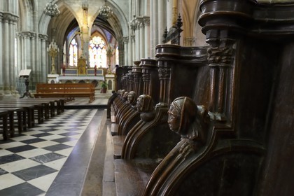 France, Ille-et-Vilaine,  Bay of Mont Saint Michel, Dol de Bretagne, Saint Samson cathedral of gothic style, both sides of the choir are located 77 stalls dated from the fourteenth century