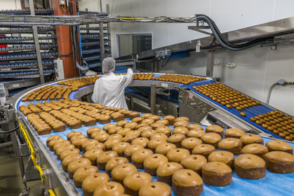 France, Côte-d'Or (21), Dijon, la fabrique de pains d'épices de la la maison Mulot et Petitjean, sortie de four, glacage et séchage à l'air libre pour les nonnettes, le produit phare