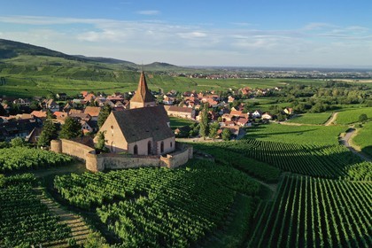 France, Haut-Rhin (68), Route des vins d'Alsace, Hunawihr, labellis