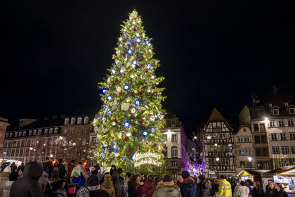 France, Bas-Rhin (67), Strasbourg, vieille ville classée au Patrimoine Mondial de l’UNESCO, le Grand Sapin de Noël de la place Kléber