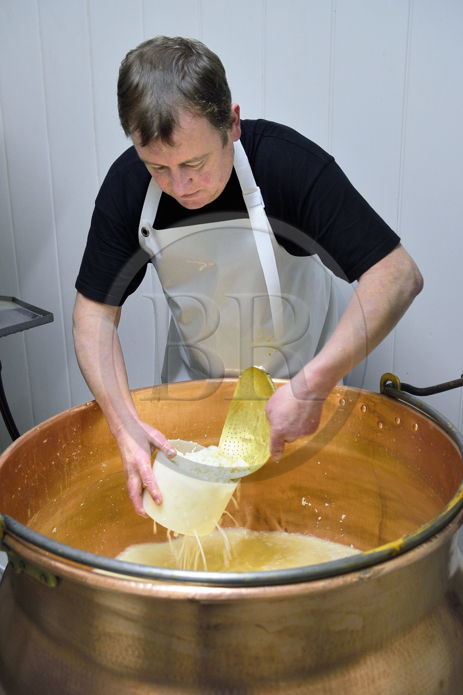 France, Haut-Rhin (68), Wasserbourg, Ferme-auberge Buchwald, le marcaire Michel Wehrey à la fabrication du fromage de munster AOP (lait de vache), caillé dans le chaudron en cuivre mis en moule pour lui permettre d’être égoutté et former ainsi le futur Munster