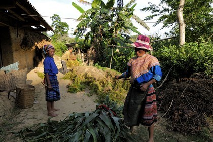 Vietnam, Lao Cai province, Bac Ha district, farmers from the Flower Hmong minority group