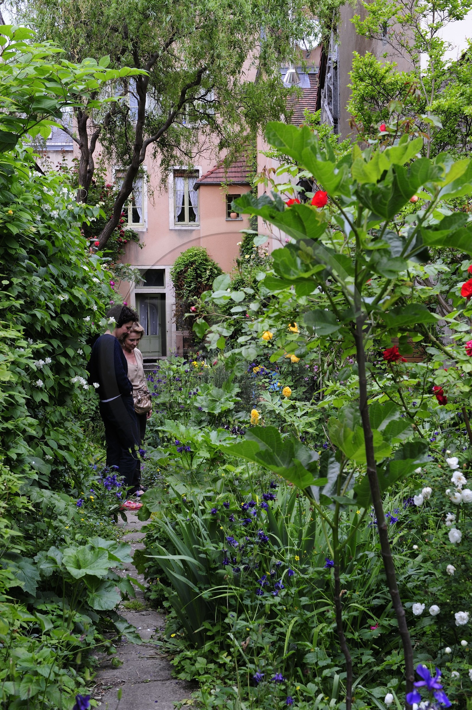 France, Côte d'Or (21), Dijon, jardin privé d'une maison rue Berbisey