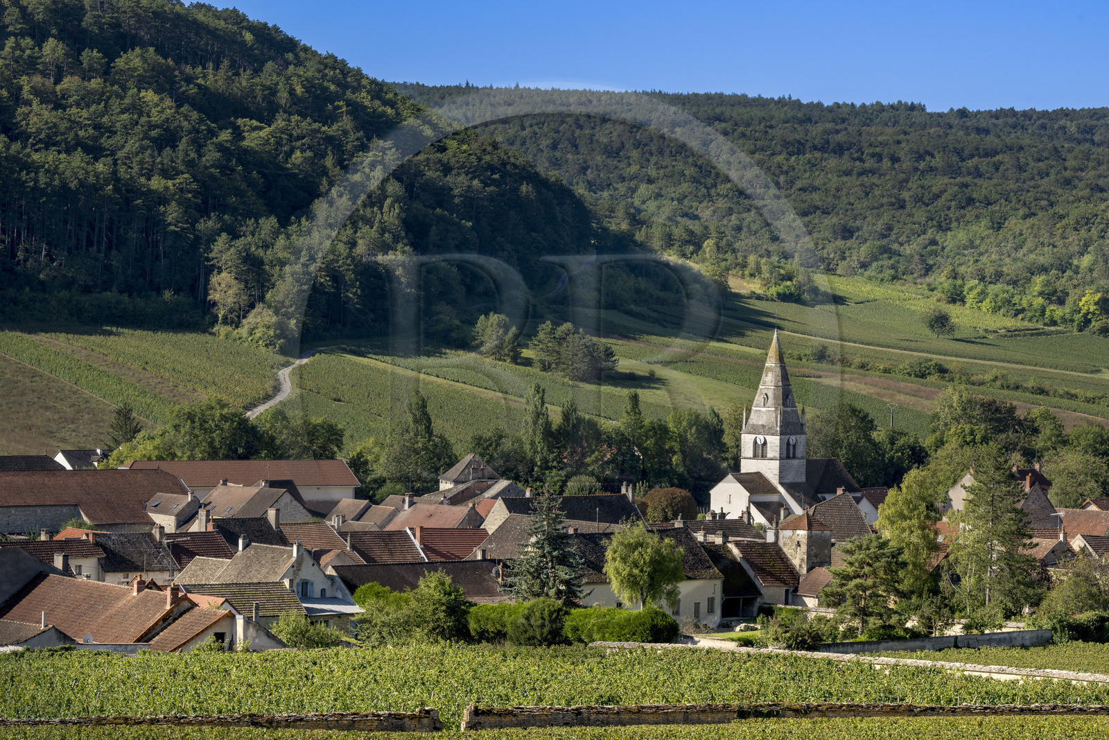 France, Côte-d'Or (21), les climats de Bourgogne classés Patrimoine Mondial de l'UNESCO, Côte de Beaune, village de Auxey-Duresses entouré de vignes