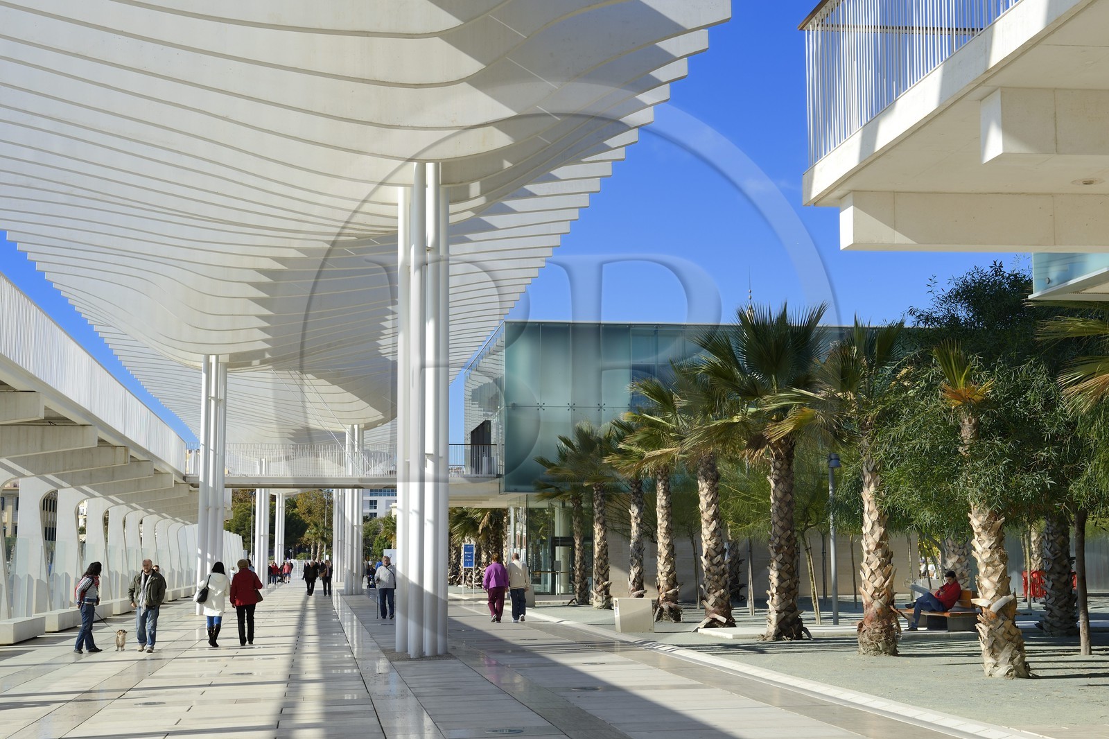 Espagne, Andalousie, Malaga, le front de mer sur le port, Palmeral de las Sorpresas