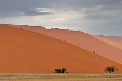 Namibia, Hardap region, Namib desert, Namib-Naukluft national park, Namib Sand Sea listed as World Heritage by UNESCO, Sossusvlei dunes, hikers on the dune 45