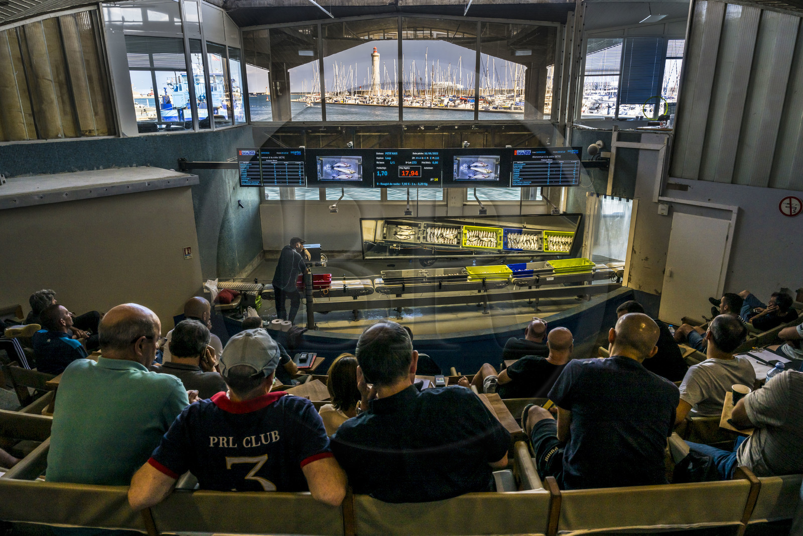 France, Hérault (34), Sète, Port de pêche, la criée aux poissons et le phare du mole Saint-Louis en arrière-plan