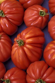 France, Alpes-Maritimes (06), Antibes, tomates Coeur de Boeuf