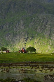 Norway, Nordland County, Lofoten Islands, Flakstad island, small farm