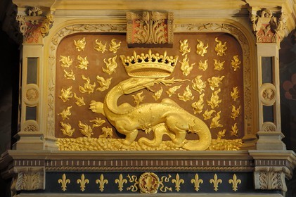 France, Loir-et-Cher (41), vallée de la Loire classée au Patrimoine Mondial de l'UNESCO, château de Blois, la Salamandre de François 1er