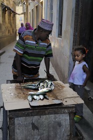 Tanzania, Zanzibar Archipelago, Unguja island (Zanzibar), Stone Town, listed as World Heritage by UNESCO, fish peddler in the old city in the Shangani neighborhood
