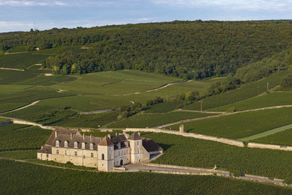 France, Cote d'Or, cultural Landscape of the climates of Burgundy listed as World Heritage by UNESCO, Route des Grands Crus (road of Vintage Wines), vineyard of the Côte de Nuits, Vougeot, the Chateau of Clos de Vougeot surrounded by vineyards (aerial view)